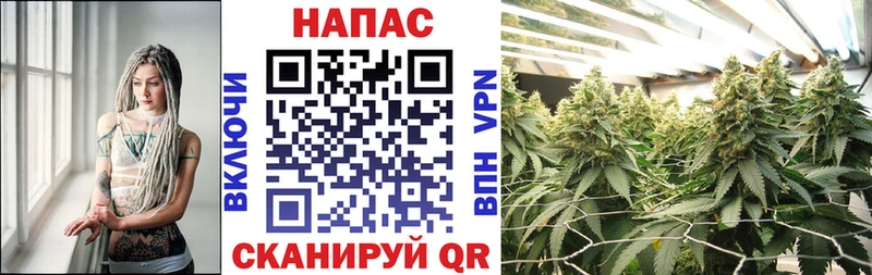 Конопля Bruce Banner  хочу наркоту  Курчалой 
